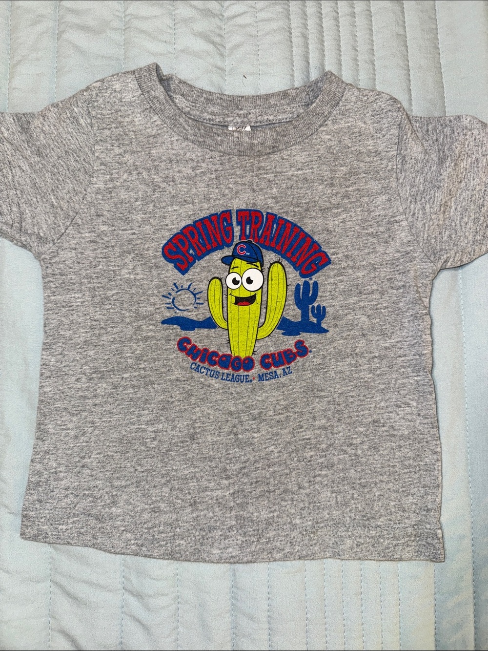 Cubs Spring Training Tee